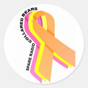 Spare radio collared Bears! Classic Round Sticker