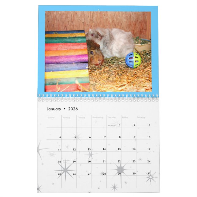 Sparkle Calendar (Jan 2026)