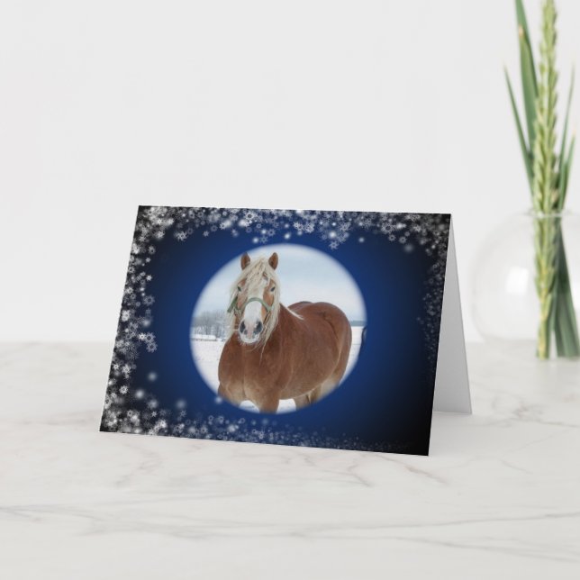 Sparkle Horse Holiday Card (Front)