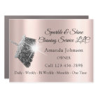 Sparkle & Shine Cleaning Service Houskeeping Rosse