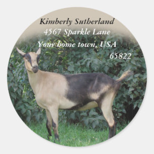 Sparkle Stickers-customise Classic Round Sticker