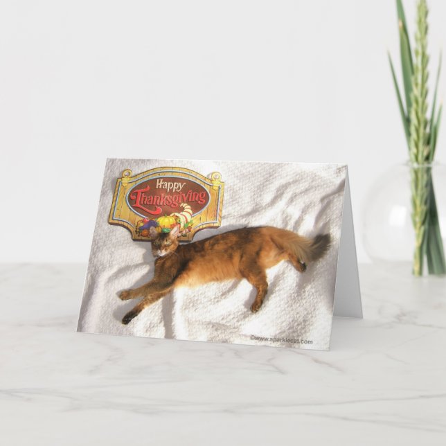 Sparkle the Supermodel Thanksgiving Card (Front)