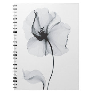 Sparkling Blossom: Nature's Radiant Reflection Notebook