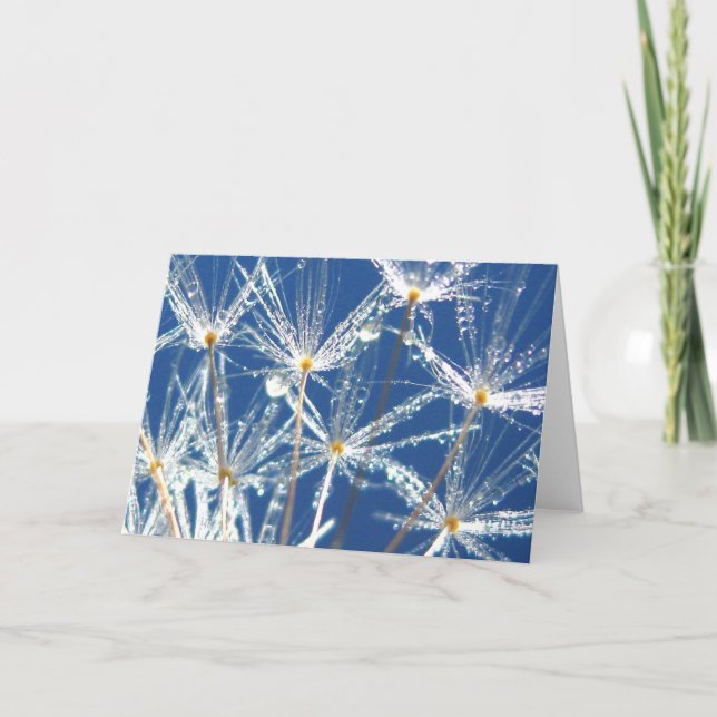Sparkling Dandelion With Dew Poetry of Nature Card (Front)