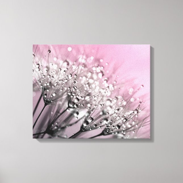 Sparkling Dew Dandelion Cotton Candy Pink Canvas Print (Front)