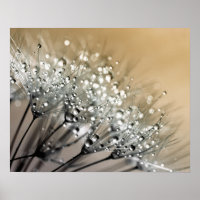 Sparkling Dew Dandelion Khaki Background