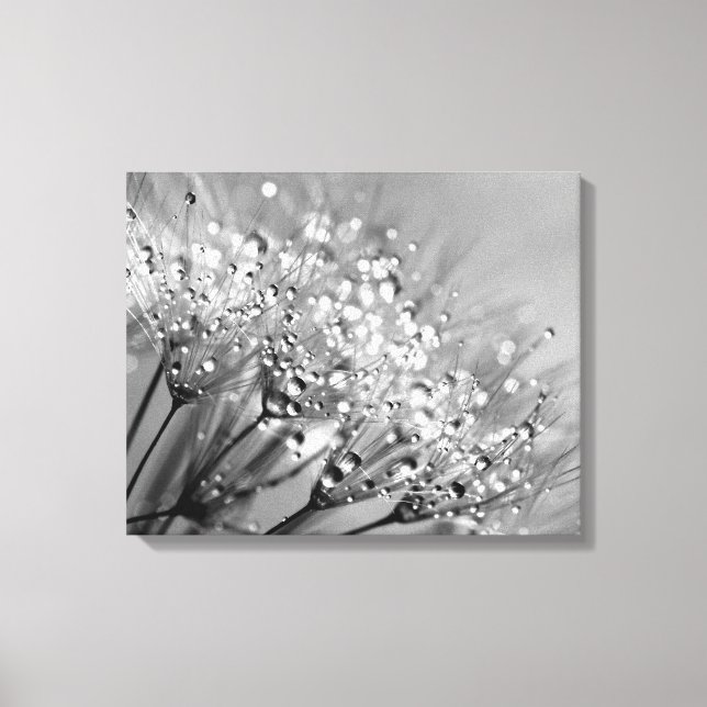 Sparkling Dew Dandelion Silver Grey Background Canvas Print (Front)