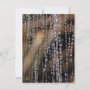 Sparkling Dew Drop Bead Curtain, Magical Postcard