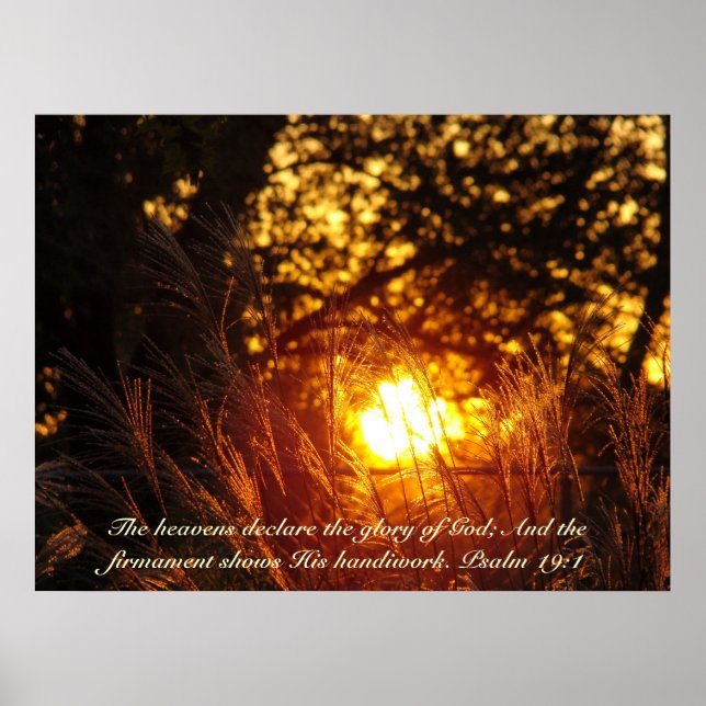 Sparkling Grass Sunset poster (Front)