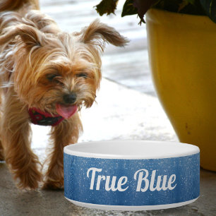 Sparkling Raindrops on Royal Blue with Name pet Bowl