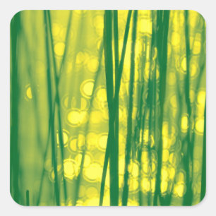 Sparkling Reed Grass Green/Yellow Square Sticker