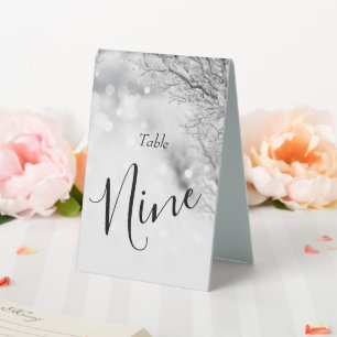 Sparkling Snow and Ice Winter Wedding