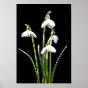 Sparkling Snowdrops print