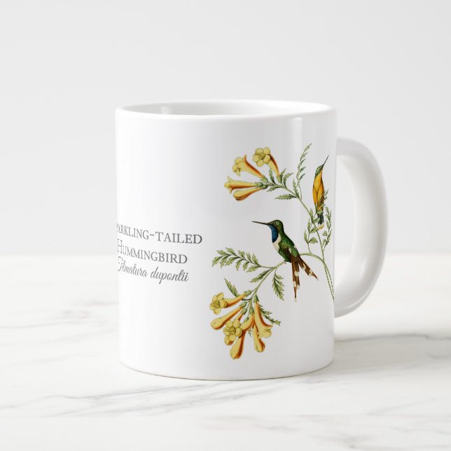 Sparkling Tailed Hummingbird Jumbo Mug (Front Right)