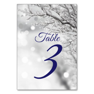 Sparkling Winter Snow & Ice Wedding Table Number