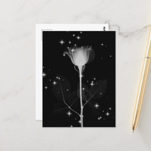 Sparkling X-Ray Flower - B&W Postcard