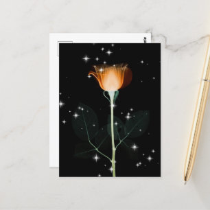 Sparkling X-Ray Flower - Orange Postcard