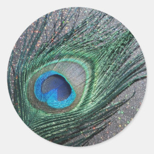 Sparkly Black Peacock Feather Still Life Classic Round Sticker