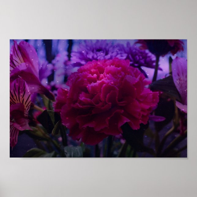 Sparkly Carnation Poster (Front)