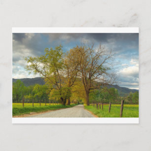 Sparks Lane Cades Cove Postcard