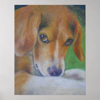 Sparky Dog: Eyes Poster