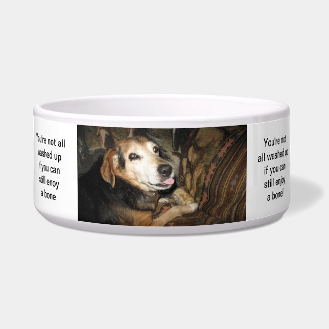 Sparky the Beagle (Front)