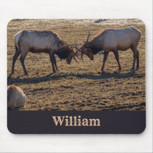 Sparring Bull Elk Custom Name Mouse Mat