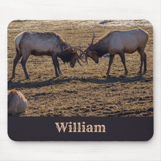 Sparring Bull Elk Custom Name Mouse Mat (Front)