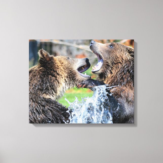 Sparring Grizzly Bears Canvas Print (Front)