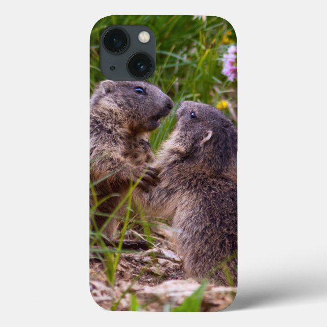 Sparring Partners iPad Mini Case (Back)