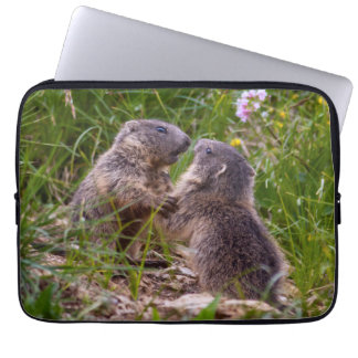 Sparring Partners Laptop Sleeve