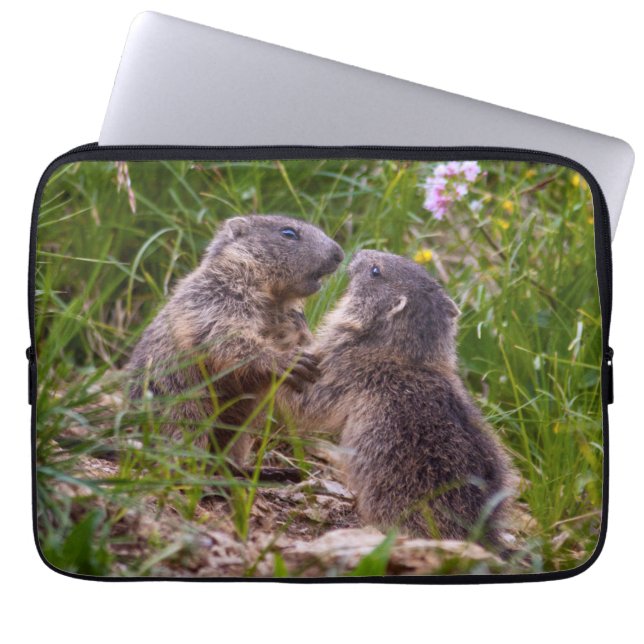 Sparring Partners Laptop Sleeve (Front)