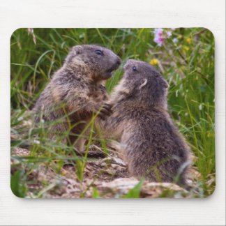 Sparring Partners Mousemat