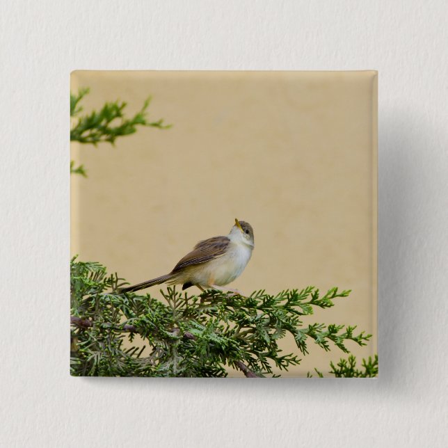 Sparrow 15 Cm Square Badge (Front)