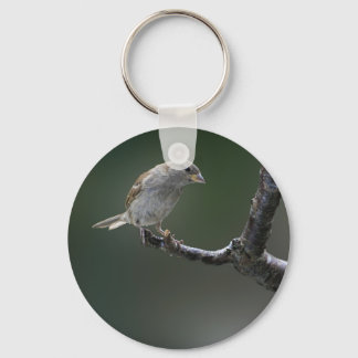 Sparrow  1 key ring
