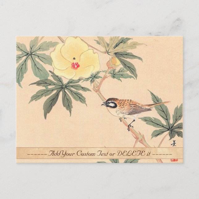 Sparrow and Hibiscus Keibun Matsumoto bird flowers Postcard (Front)