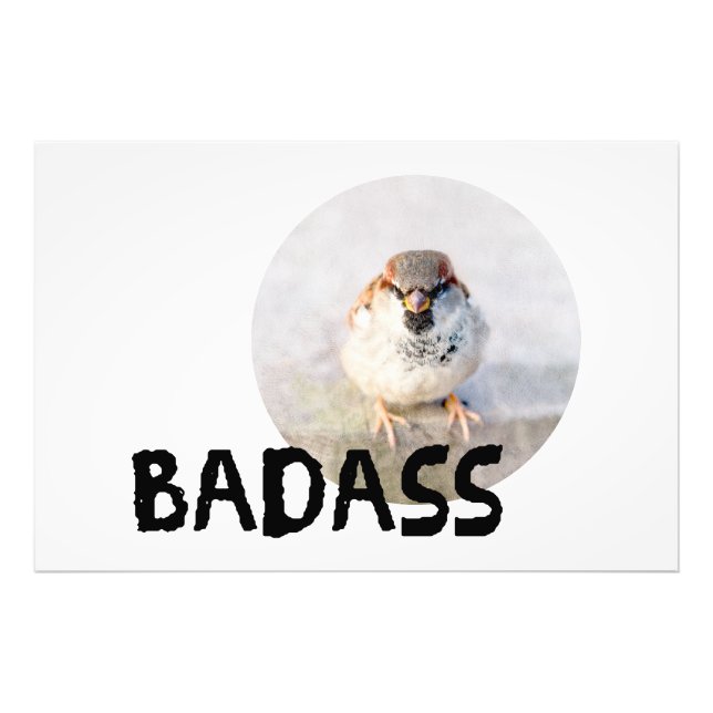 Sparrow - Badass Photo Print (Front)