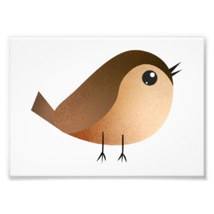 Sparrow Bird Cartoon Photo Print