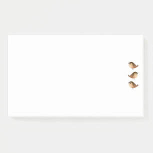 Sparrow Bird Cartoon Post-it Notes