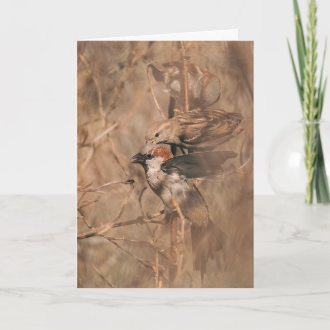 Sparrow Bird Funny Birdwatcher Retirement Congrats Card (Front)