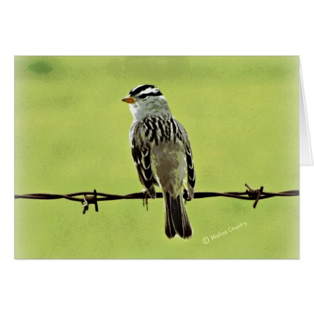 Sparrow "Bird on a Wire" (Front Horizontal)