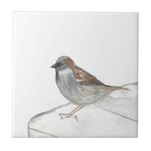 Sparrow Bird Wildlife Watercolor Nature Cute Tile
