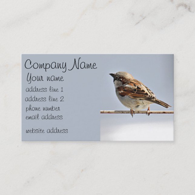 Sparrow Business Card (Front)