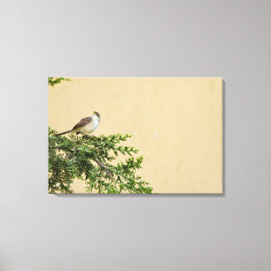 Sparrow Canvas Print