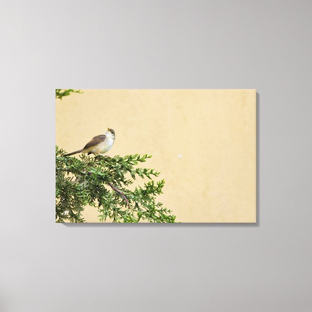 Sparrow Canvas Print (Front)