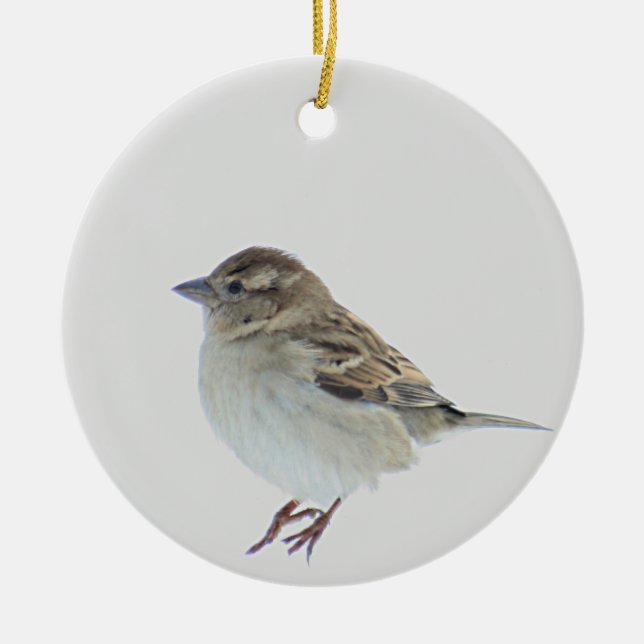 Sparrow Ceramic Tree Decoration (Front)