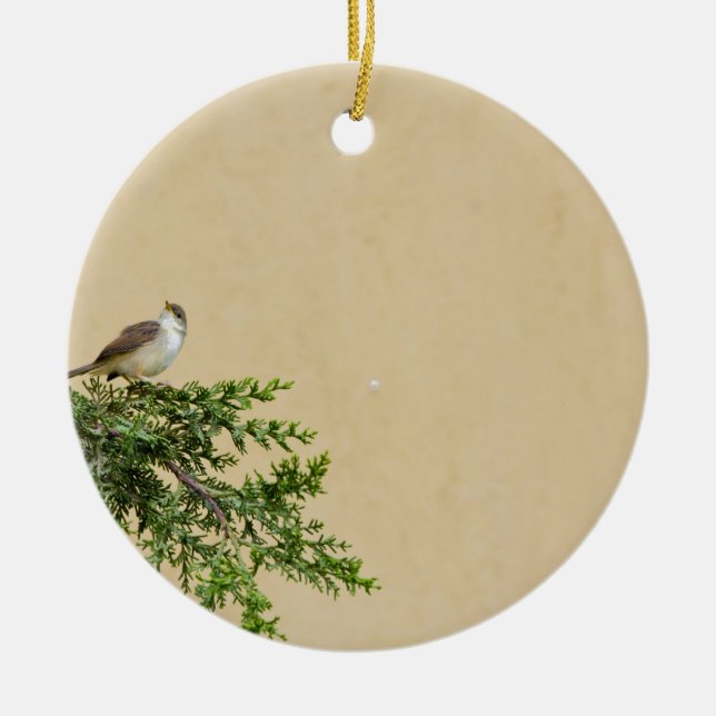 Sparrow Ceramic Tree Decoration (Front)