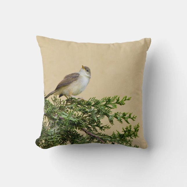 Sparrow  cushion (Front)