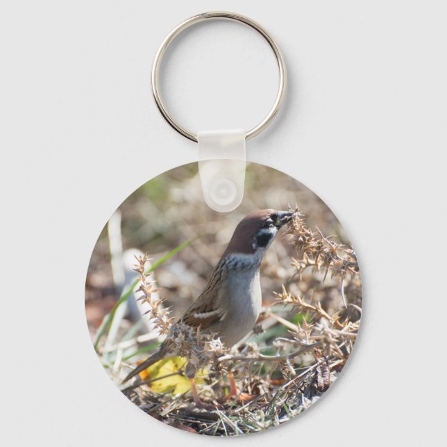 Sparrow eating wild seeds key ring (Front)