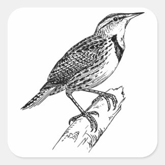 Sparrow-Great Sparrow Clothing/Sparrow Sticker